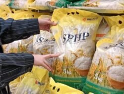 Asmen Pengadaan Kancab Bulog Medan Diduga Pungut Upeti Penerbitan SO