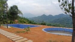 Gawat!!! Bupati Langkat Dirikan Vila di Kawawan Hutan?