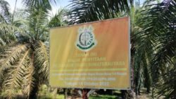 Netizen: Oknum DPRD Langkat Inisial DS Diduga Bekingi Perambah Kawasan SMKGLTL