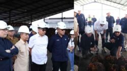 Danantara: Transformasi PalmCo Dinilai Perkuat Kemandirian Pangan dan Energi Nasional